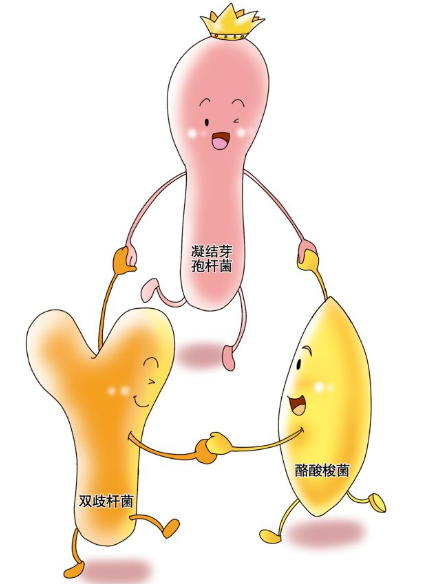 如何给宝宝选择益生菌？