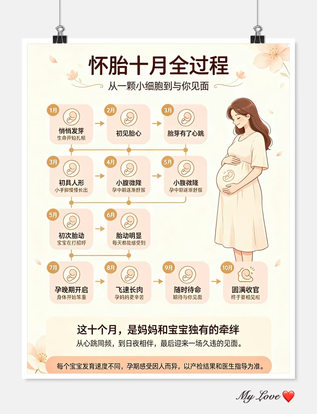 怀胎十月｜完整孕期变化全过程